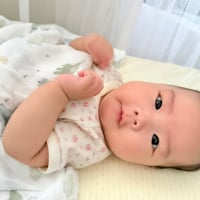 從新生到成長，Bimbidreams竹纖維紗布包巾開箱體驗，陪伴寶寶每個溫柔時光~